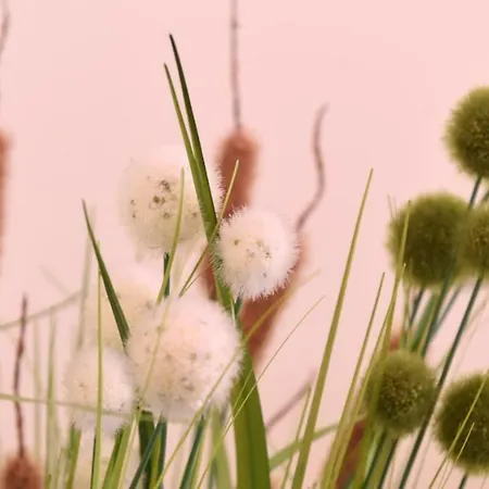 Guest house La Maison Vintage 3*