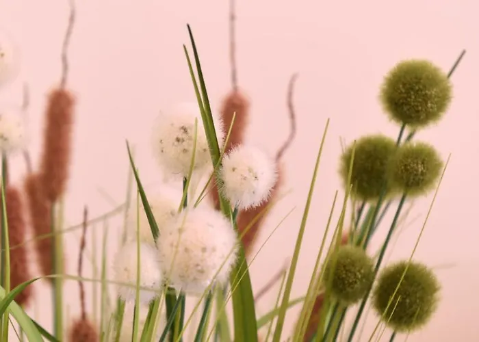 招待所 La Maison Vintage 3*